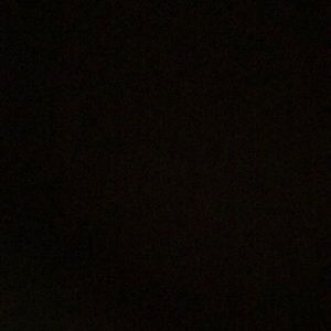 Meet your Posher, Dashea